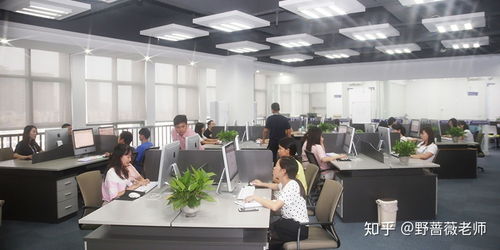 東莞東城電商淘寶運(yùn)營與美工培訓(xùn) 賦能企業(yè)，開啟數(shù)字商業(yè)新篇章